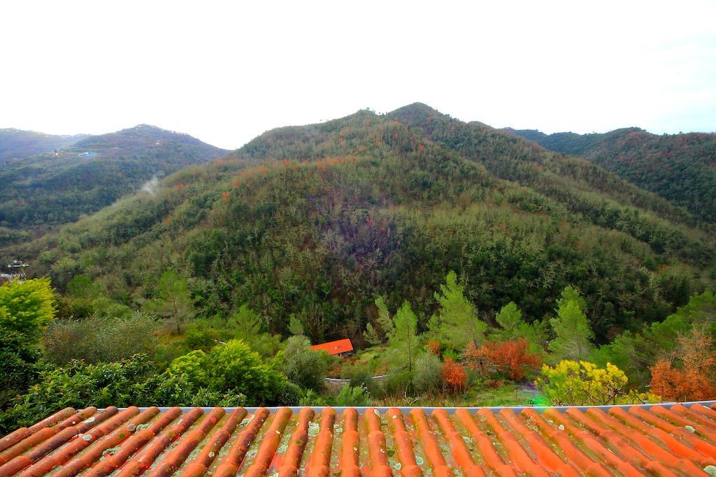 La Favorita Apricale B&B & Ristorante Pokoj fotografie